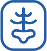 Veterinario-majadahonda-diagnostico