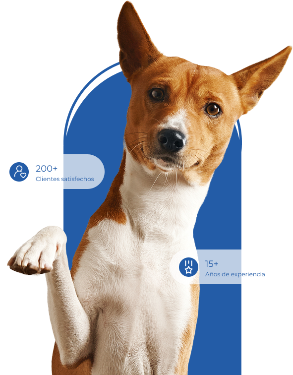 Veterinario-majadahonda-portada