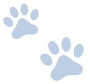 Veterinario-majadahonda-patas